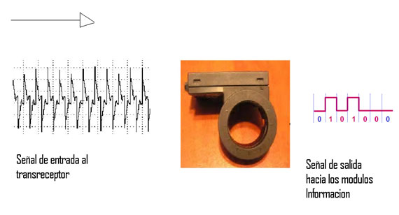 Transreceptor