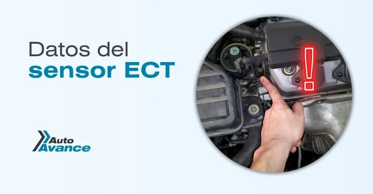 datos-del-sensor-ect