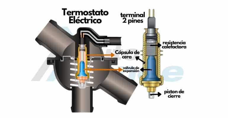 ref-termostato-electrónico