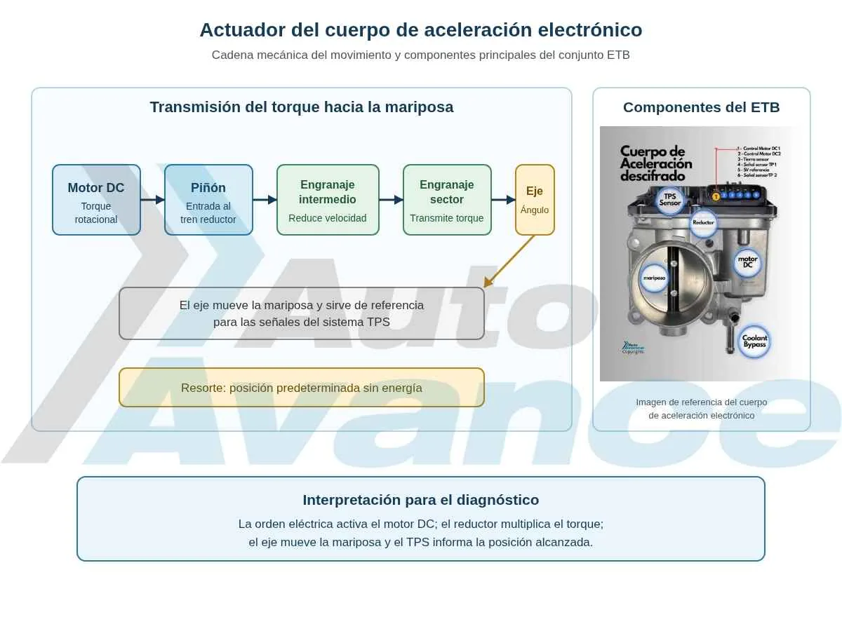 actuador-del-cuerpo-de-aceleración-electrónico
