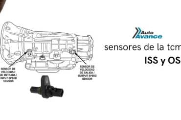 sensores-de-la-tcm