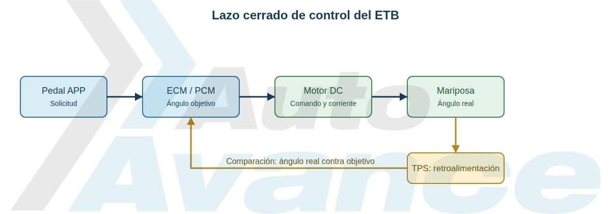 sistema-etb-diagrama