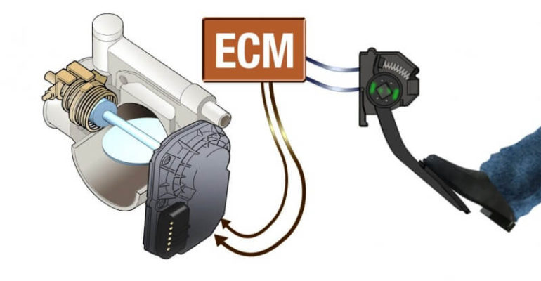 cuerpos de aceleración electrónicos
