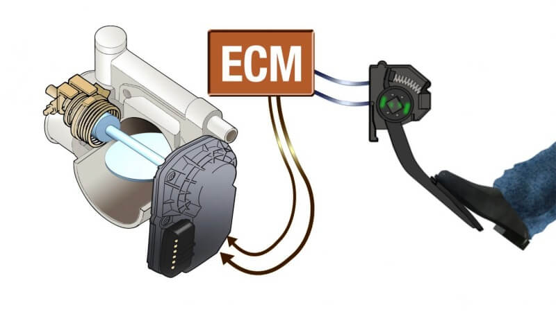 cuerpos de aceleración electrónicos