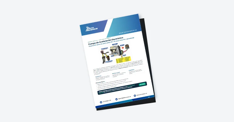 Manual Cuerpo de Aceleración Electrónico – APP, TPS Dual y Motor DC
